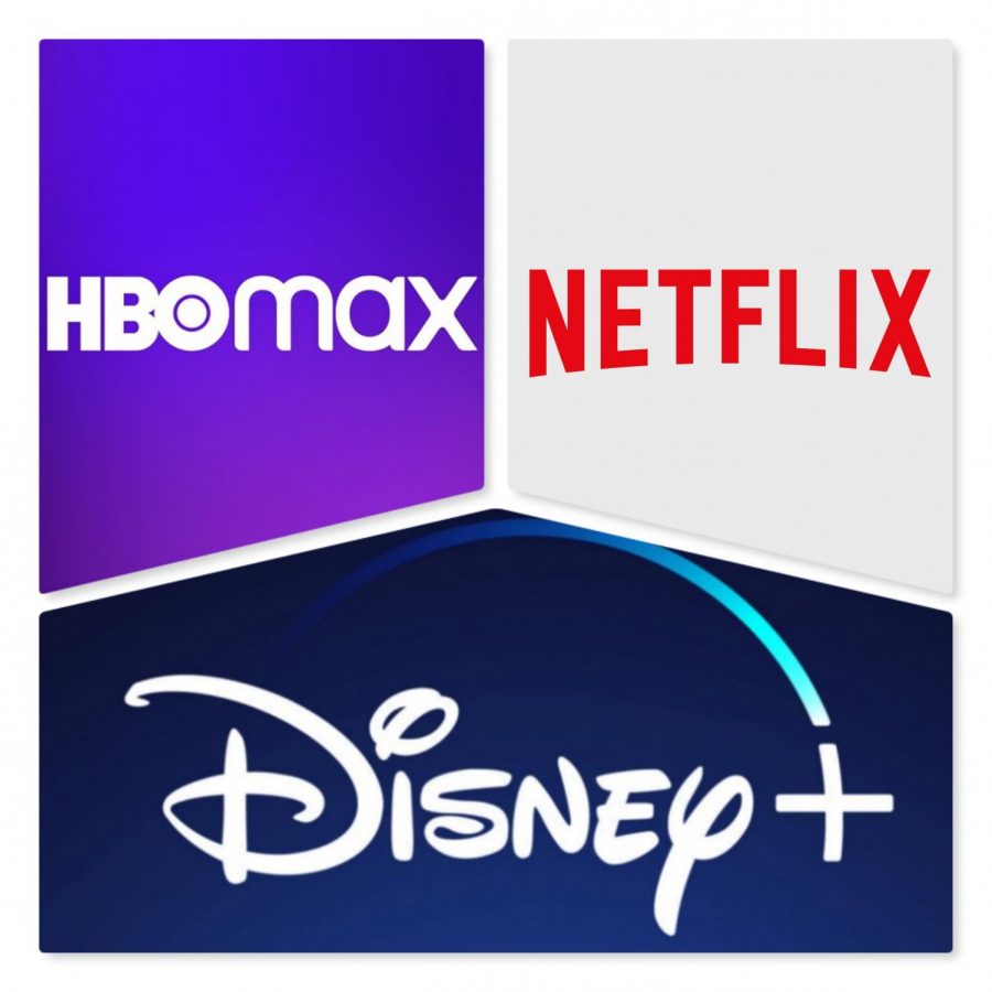 Will+Netflix+be+able+to+fight+off+the+younger+networks%3F+Can+Disney+maintain+its+crown%3F+Will+Home+Box+Office+%28HBO%29+fade+away+like+Blockbuster+and+other+forms+of+past+entertainment%3F