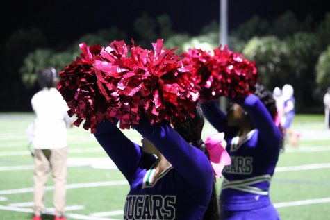 The Varsity Cheer team stood in the fight against breast cancer throughout the month of October.
